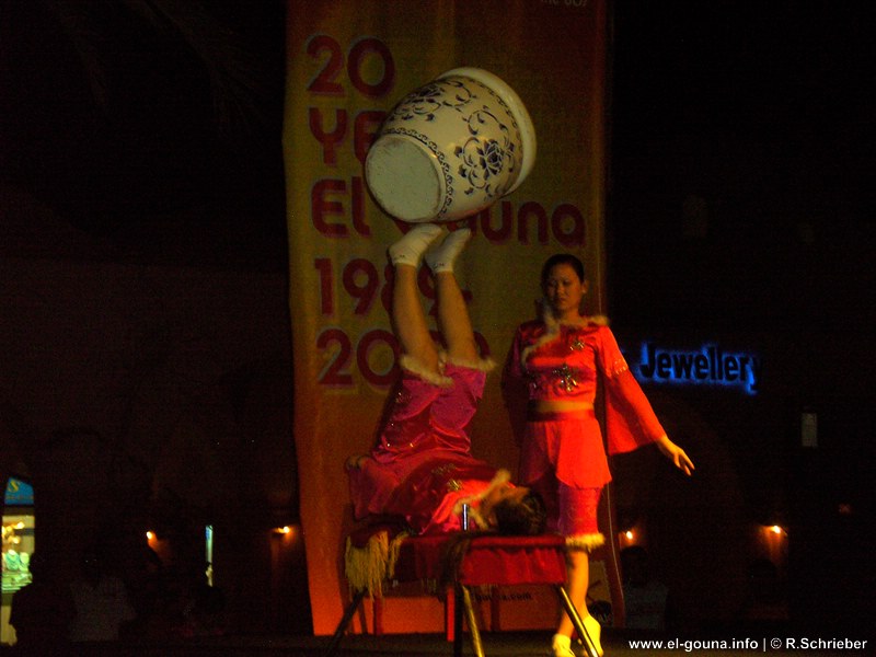 Chinese Circus Show 3139